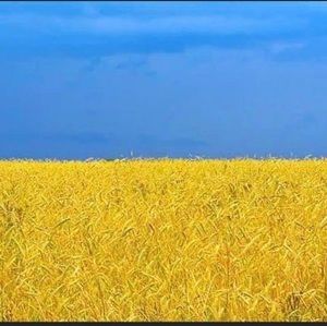 Meet your Posher, Sandy